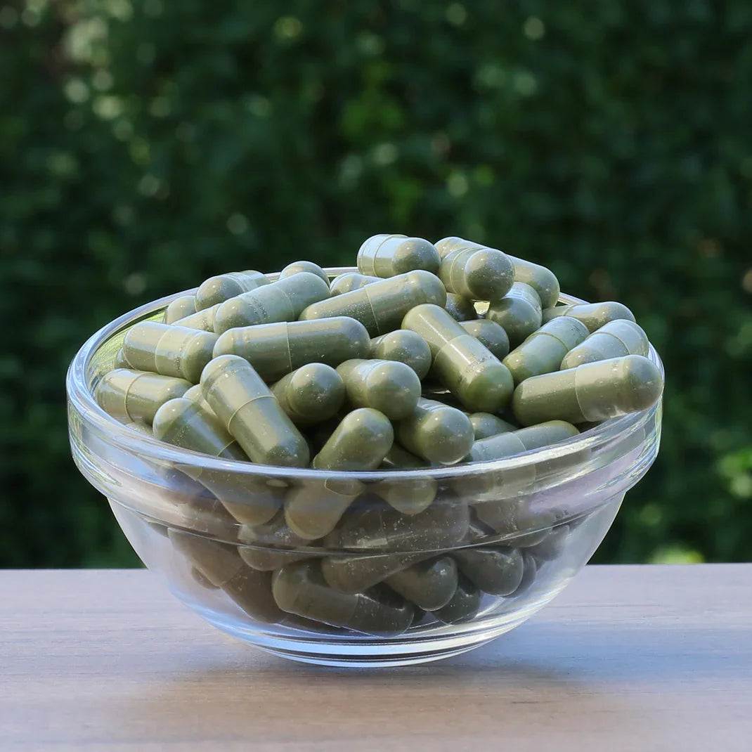 IMUNEX algae complex • with 5 algae • 180 capsules - Mannavita