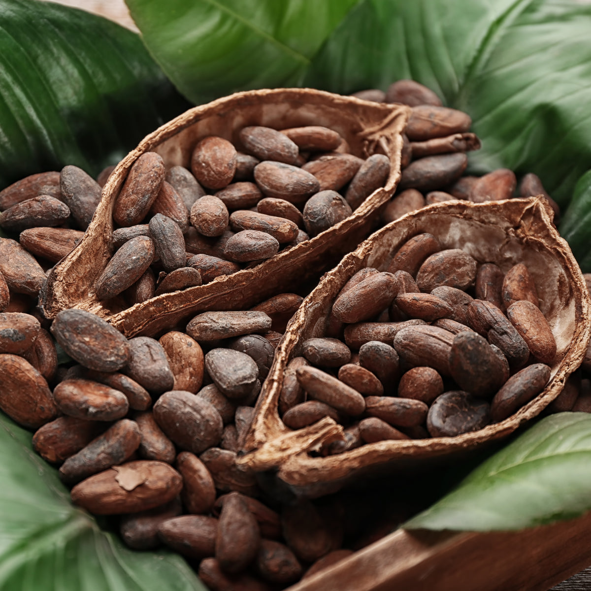 Miere Bilbo cu cacao crudă • 250 g