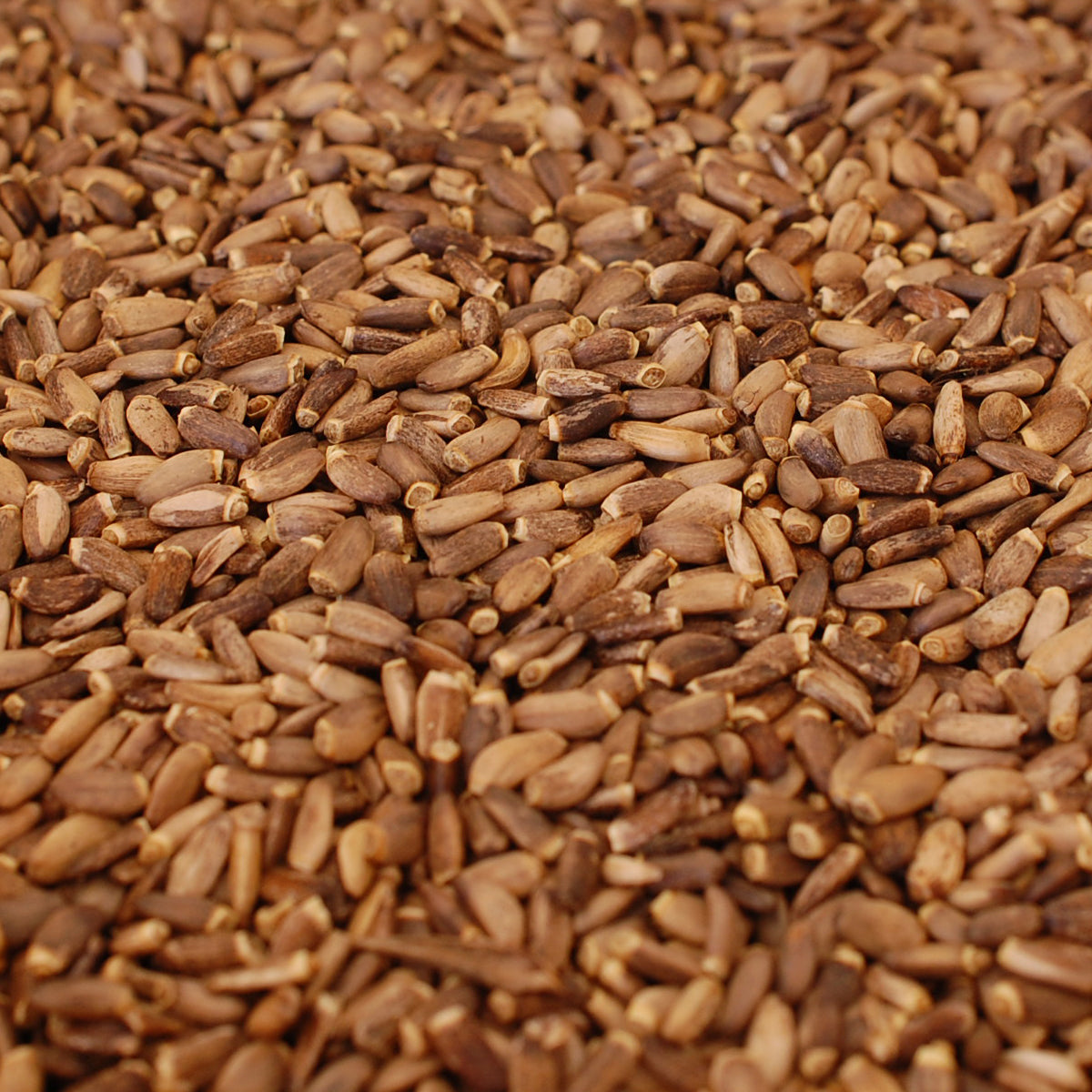 Ulei din semințe de armurariu presat la rece maghiar Mannavita • 250 ml