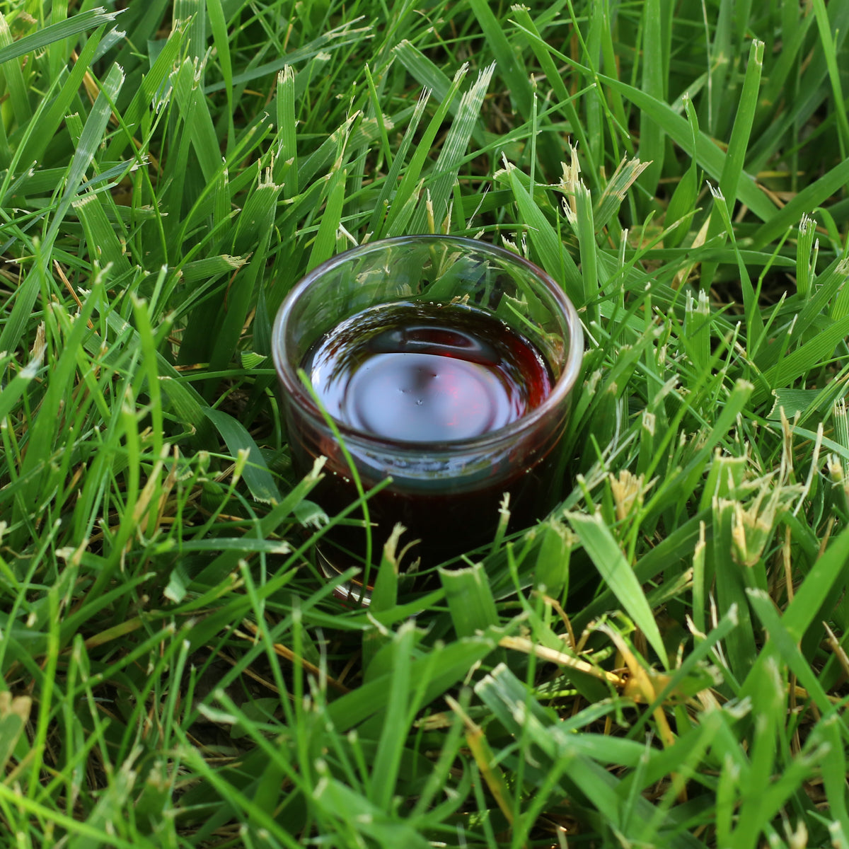 Ulei de semințe de dovleac presat la rece maghiar Mannavita • 250 ml
