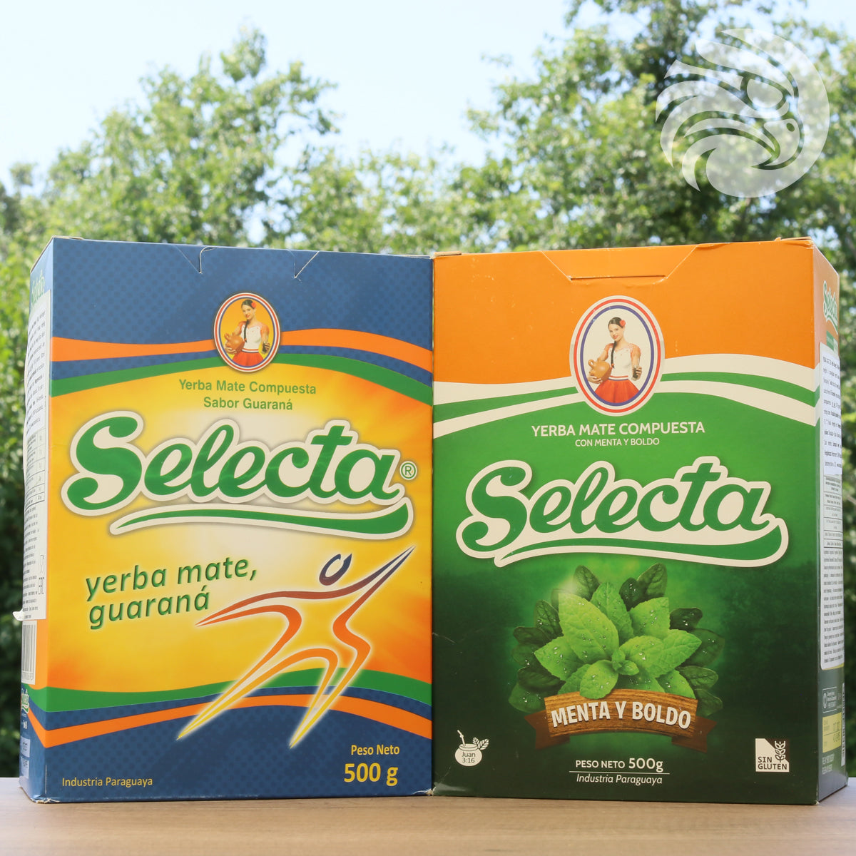 Ceai yerba mate Selecta • Boldo + Mentă • 500 g