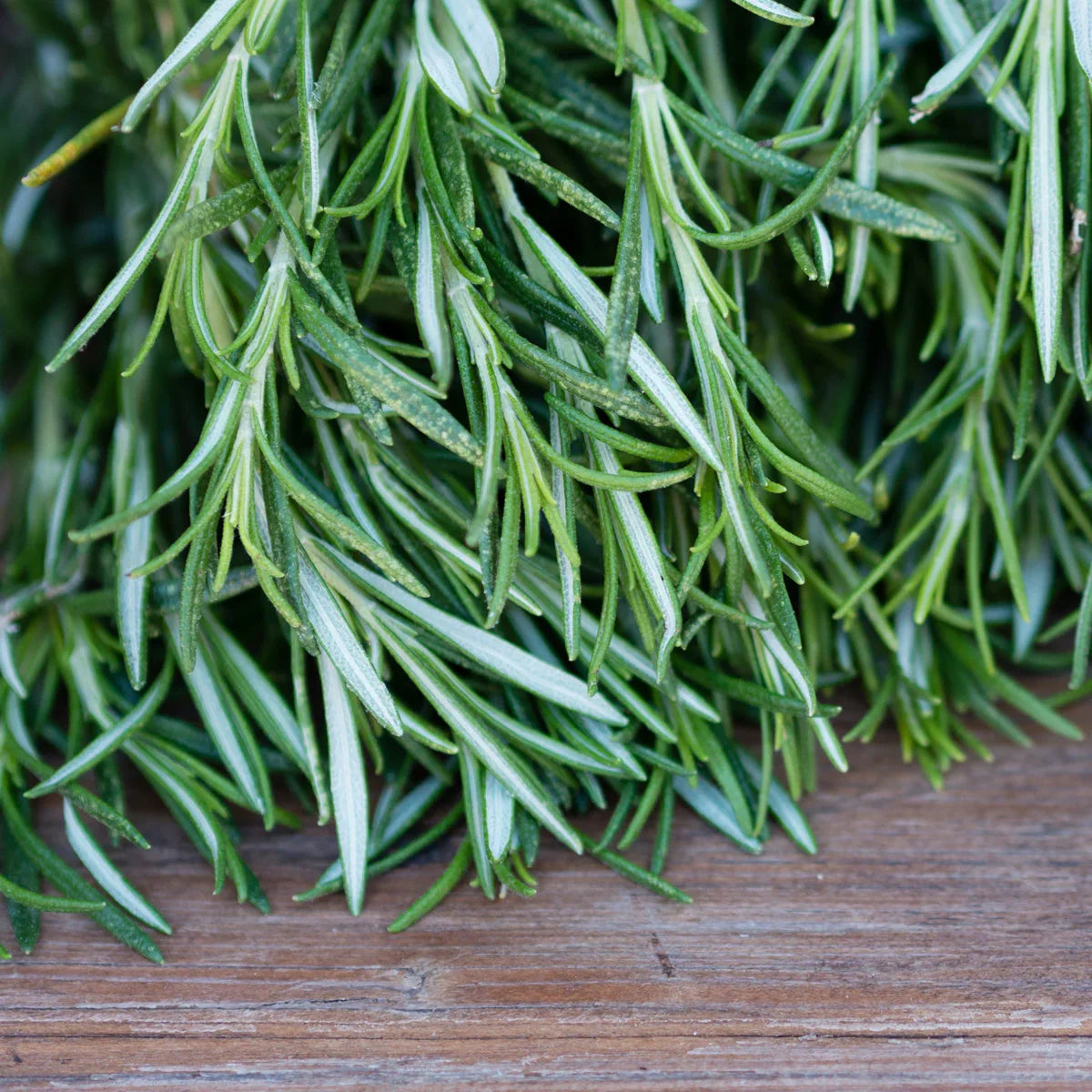 VENOPTIM Blood Circulation Optimizing Healing spray • 100ml - Mannavita