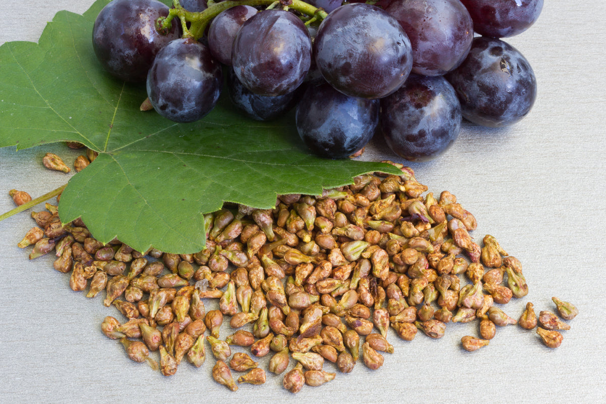 Viniseera Pudră din semințe de struguri • 250 g