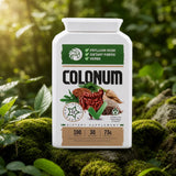 COLONUM capsule pentru curățarea colonului și refacerea florei intestinale • 100 capsule