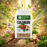 COLONUM capsule pentru curățarea colonului și refacerea florei intestinale • 100 capsule
