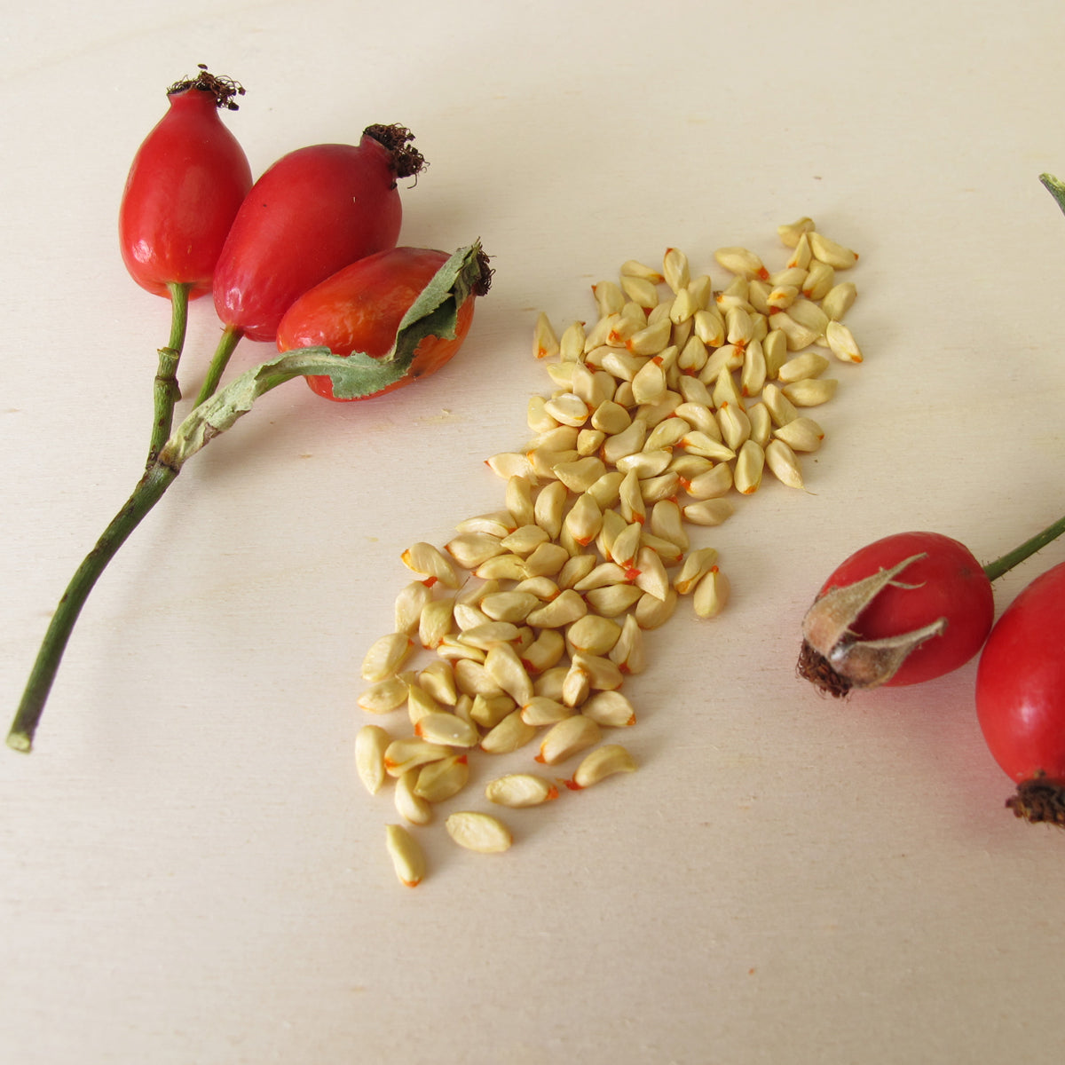 Ulei din semințe de măceșe presat la rece maghiar Mannavita • 40 ml