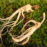 ENDOQIN Manpower Forte • 90 capsule