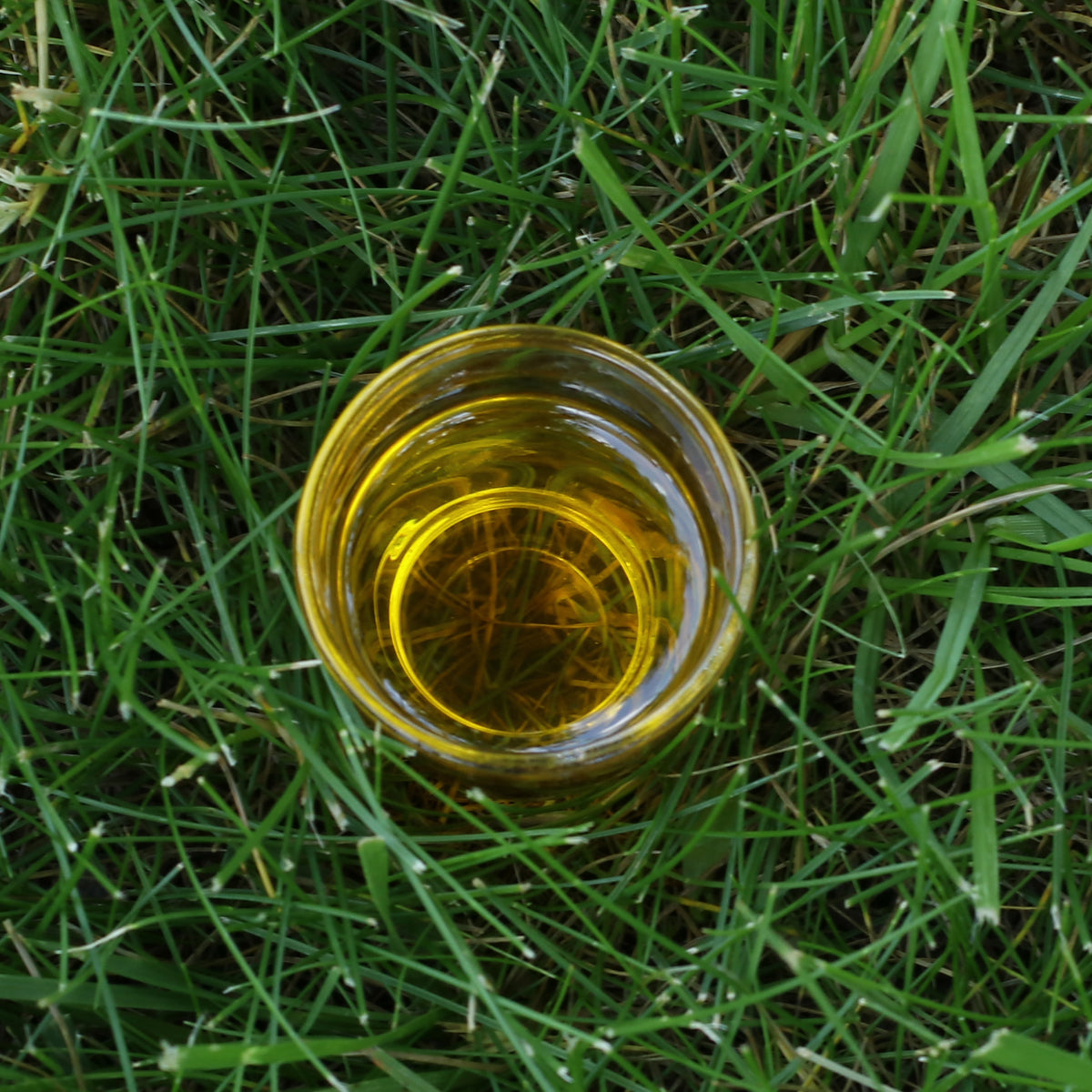 Ulei de in presat la rece maghiar Mannavita • 250 ml 