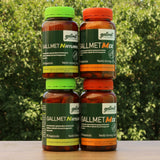 Gallmet Natural capsule cu acizi biliari • 90 buc.