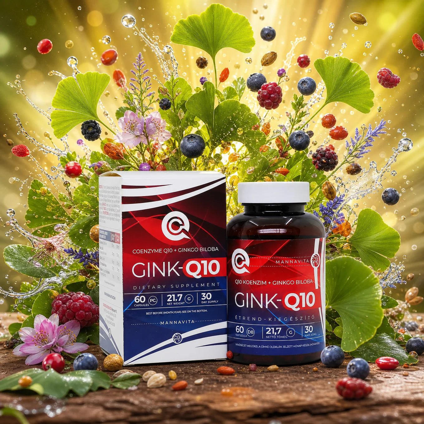 GINK-Q10 • Complex de Coenzima Q10 + Ginkgo Biloba • 60 capsule