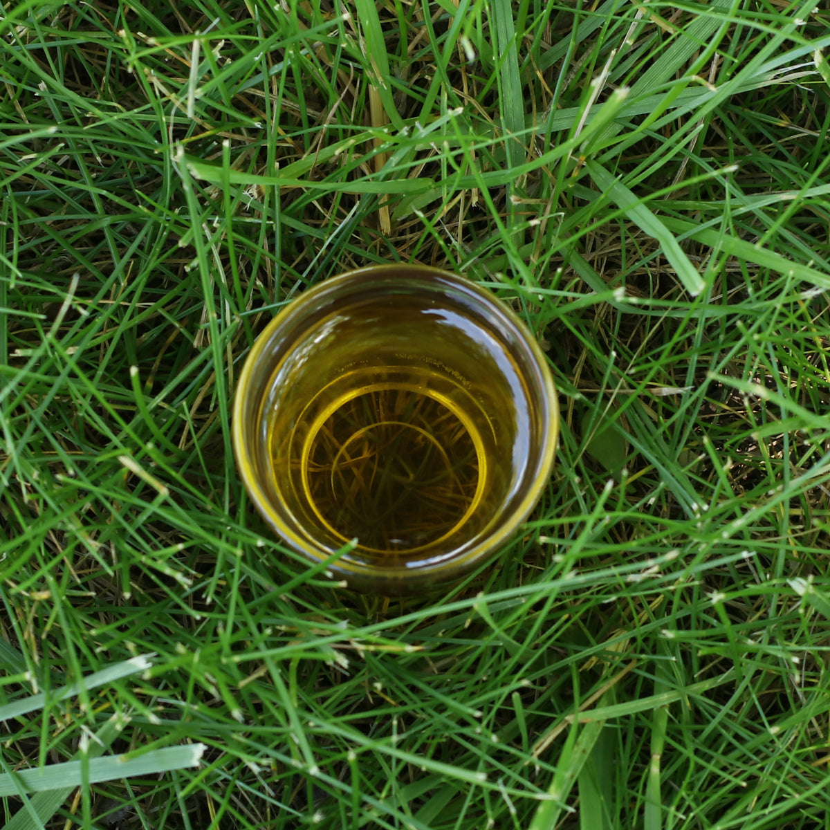 Ulei din sâmburi de struguri presat la rece maghiar Mannavita • 250 ml