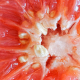 Picături cu extract din semințe de grepfrut Mannavita • 100 ml