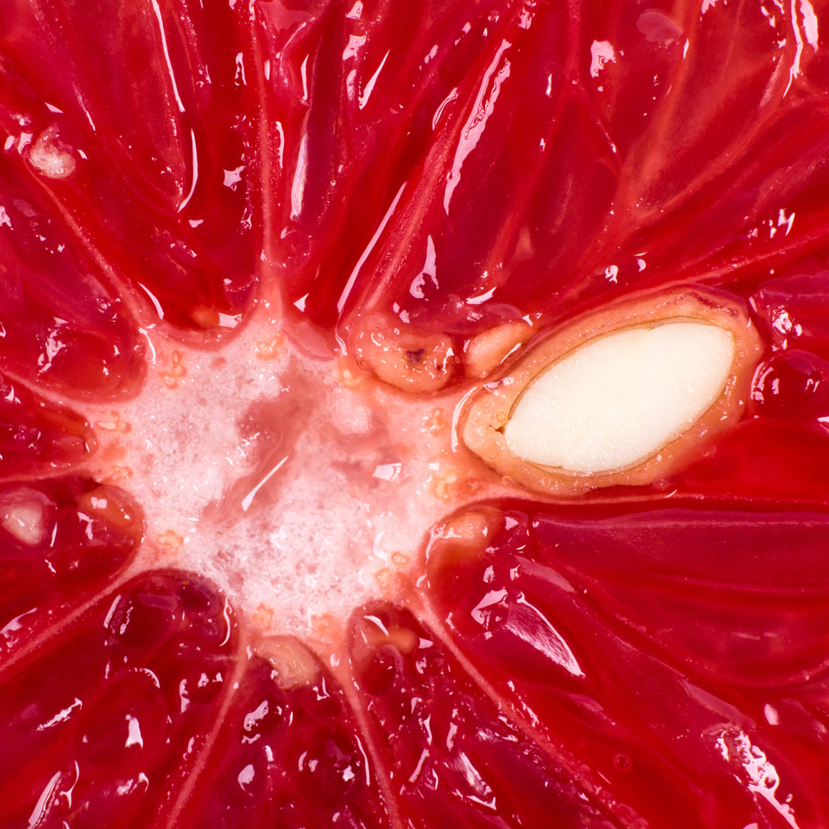 Picături cu extract din semințe de grepfrut Mannavita • 100 ml