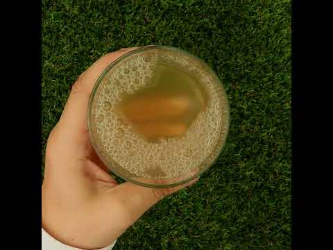 Mannavita suc pur de Aloe vera 100%, proaspăt presat • 1000 ml