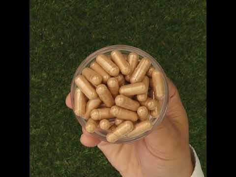 GINK-Q10 • Complex de Coenzima Q10 + Ginkgo Biloba • 60 capsule