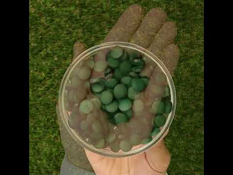 Mannavita Spirulina • tablete de 500 mg • 180 buc.