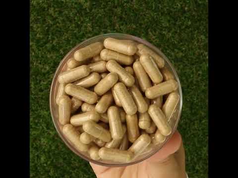 Ashwarax pentru ameliorarea Anxietății, Panicii și Insomniei • 90 capsule