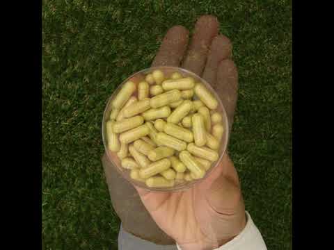 ENZIMA+ complex de Enzime Digestive, cu Betaină HCL • 90 capsule