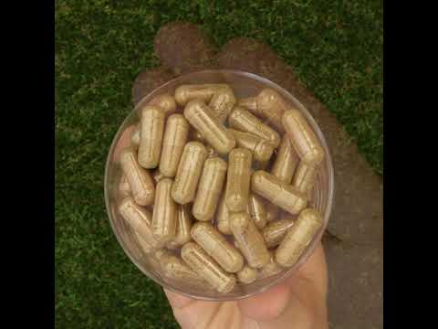 HEPADEX, complex pentru regenerarea Ficatului și îmbunătățirea sănătății Hepatice • 60 capsule