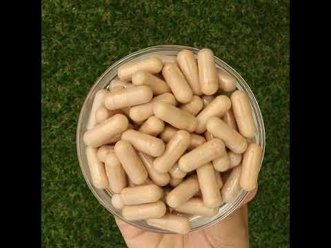 PrOcum, Complex pentru întărirea Vederii • 60 capsule