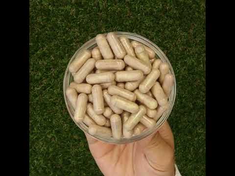 Mannavita, complex de Vitamina C • 250 mg bioactiv • 60 capsule