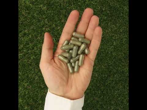 IMUNEX complex de alge • cu 5 alge • 180 capsule