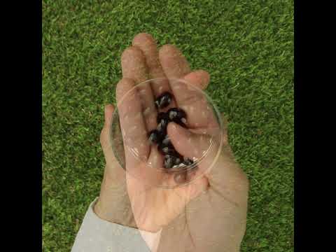 MegaKRILL 1500 mg ulei de Krill + ulei de Pește • 90 capsule