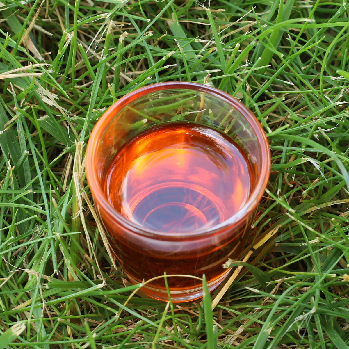 Mannavita ulei de semințe de cătină presat la rece din Ungaria • 40 ml